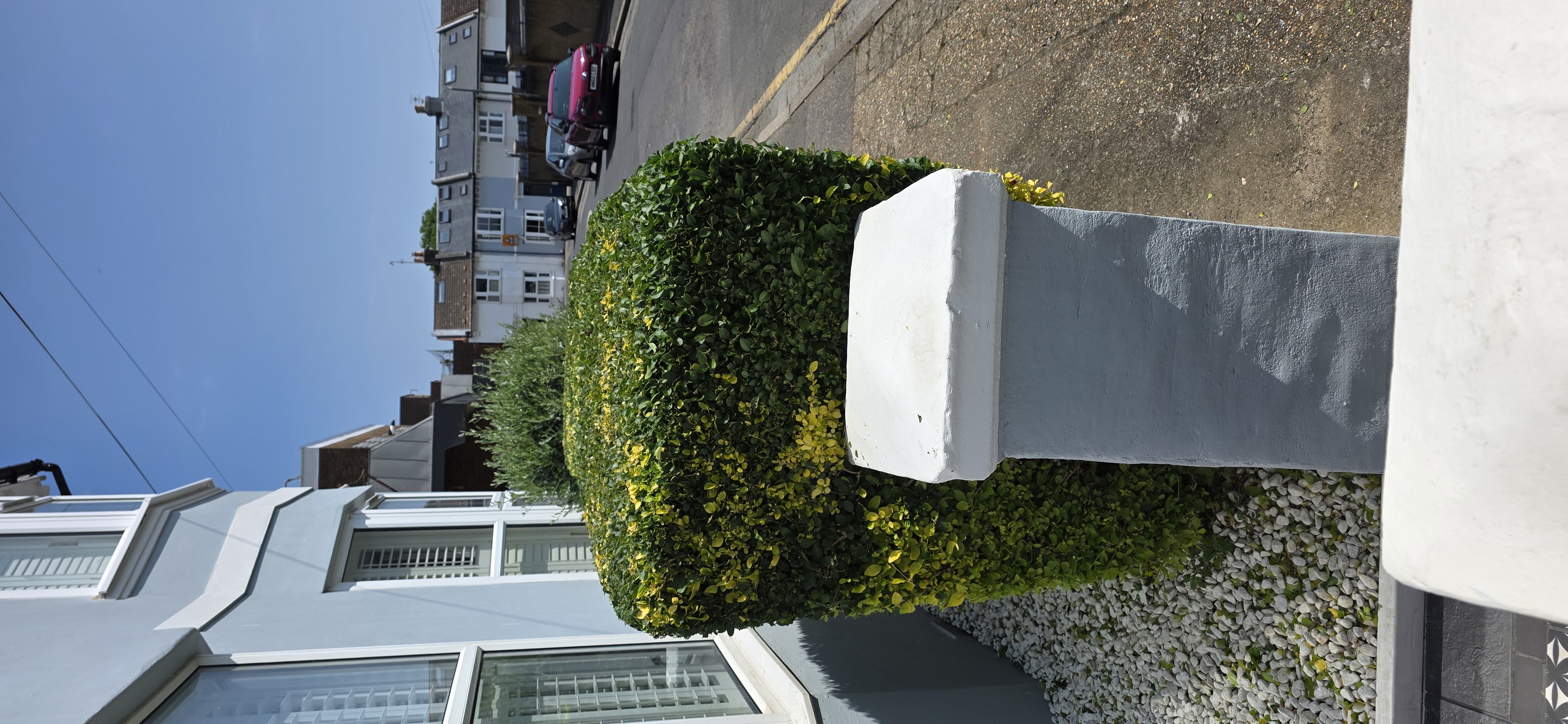 Garden after maintenance