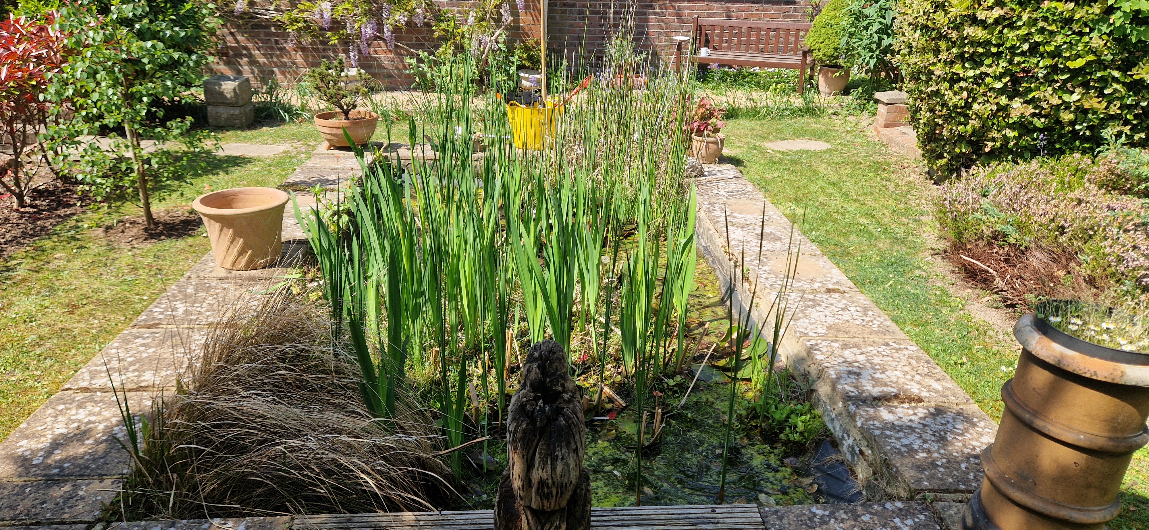 Garden pond maintenance