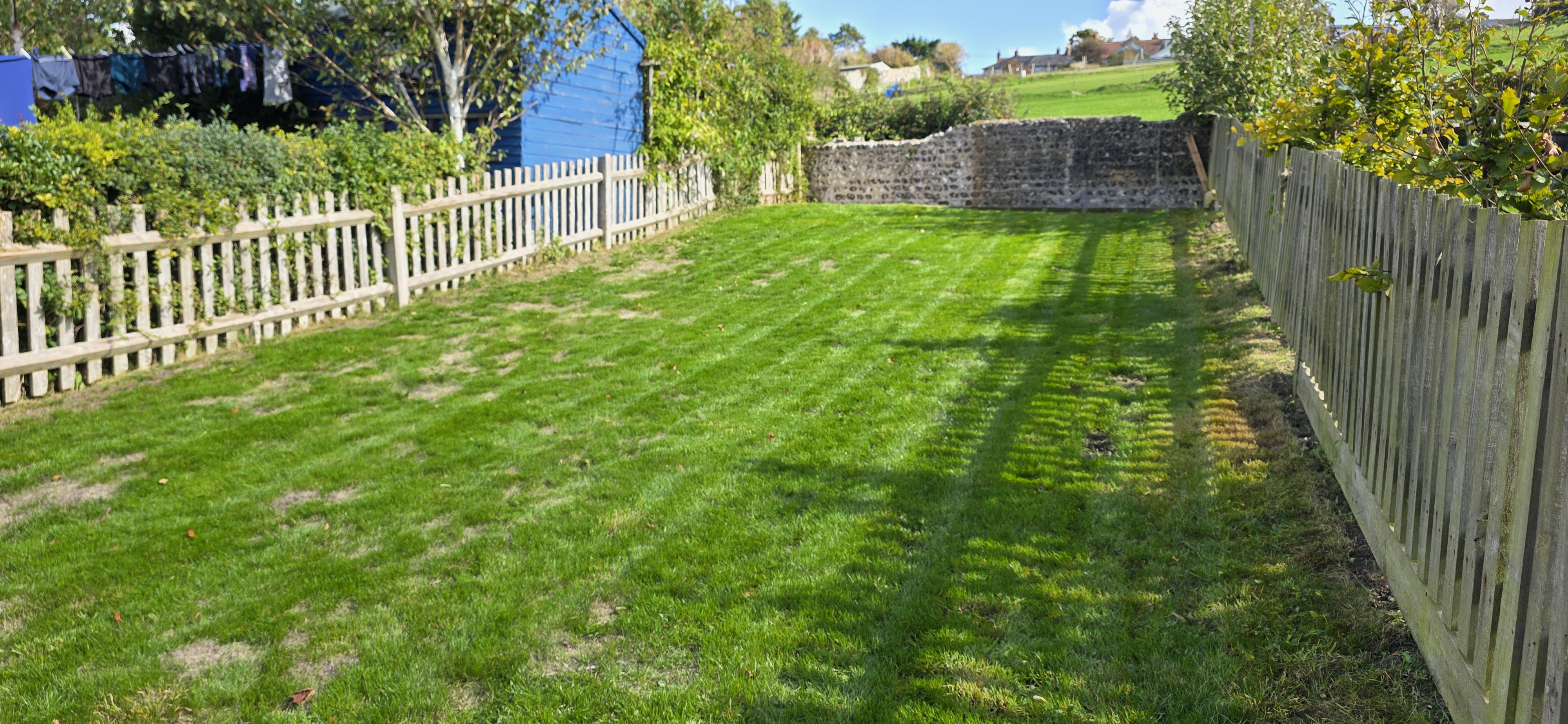 Freshly mowed lawn with stripes