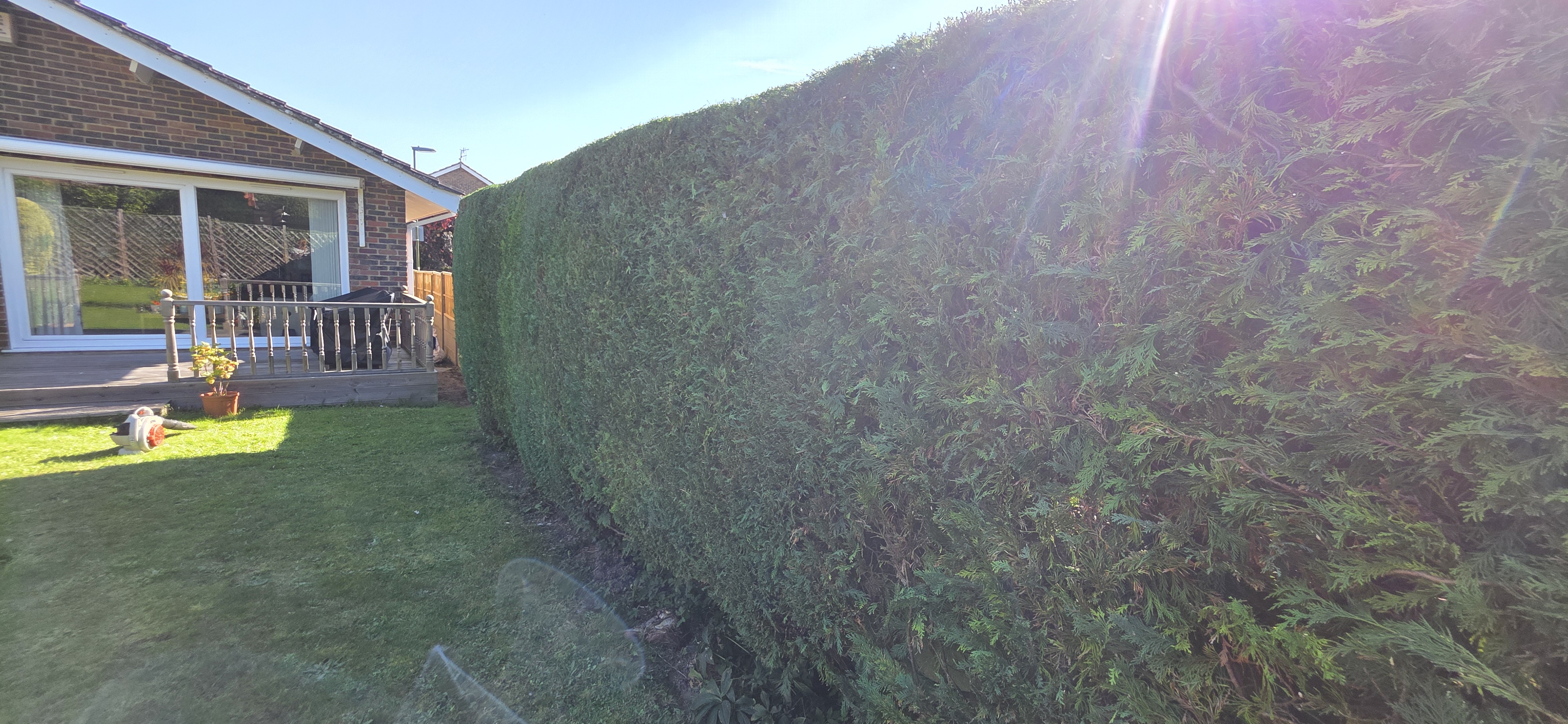 Hedge trimming