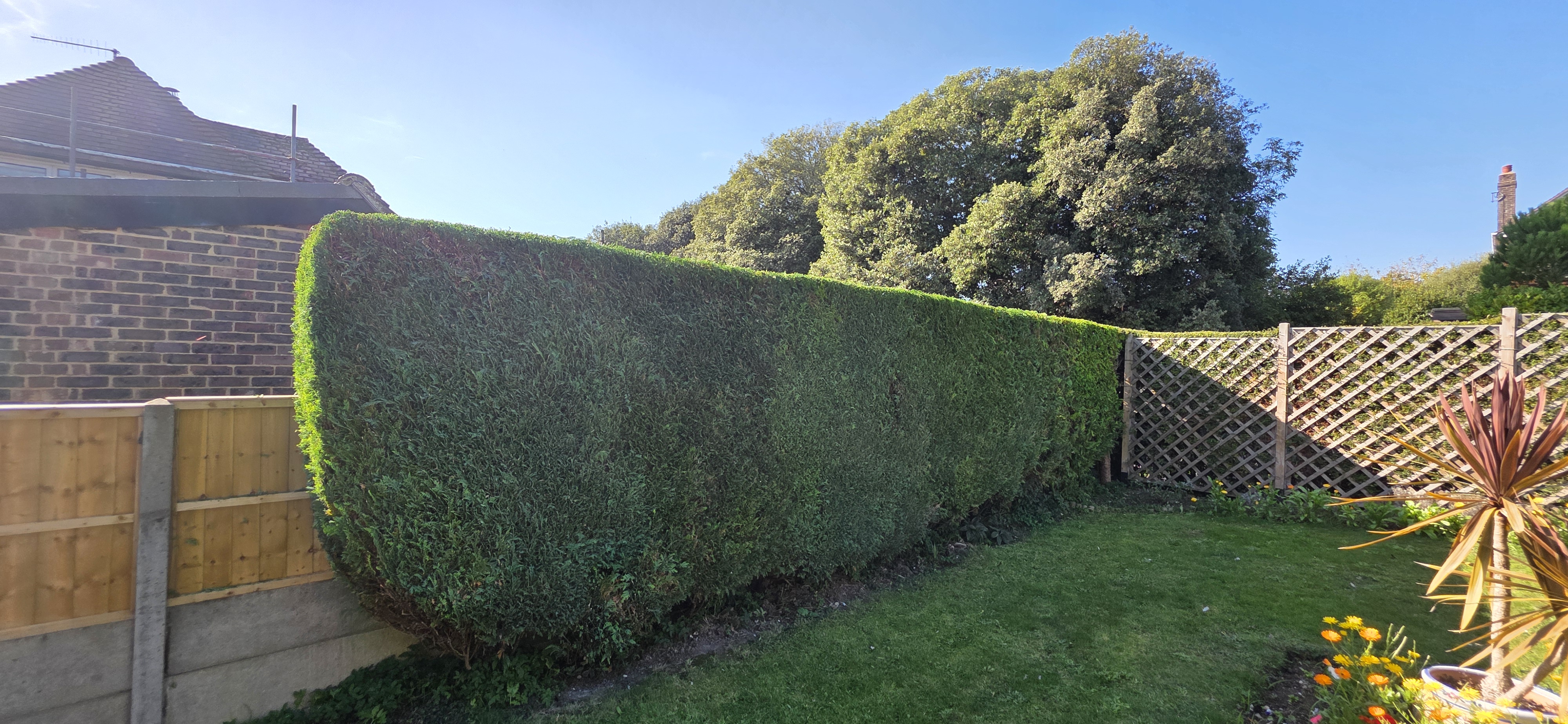 Hedge maintenance